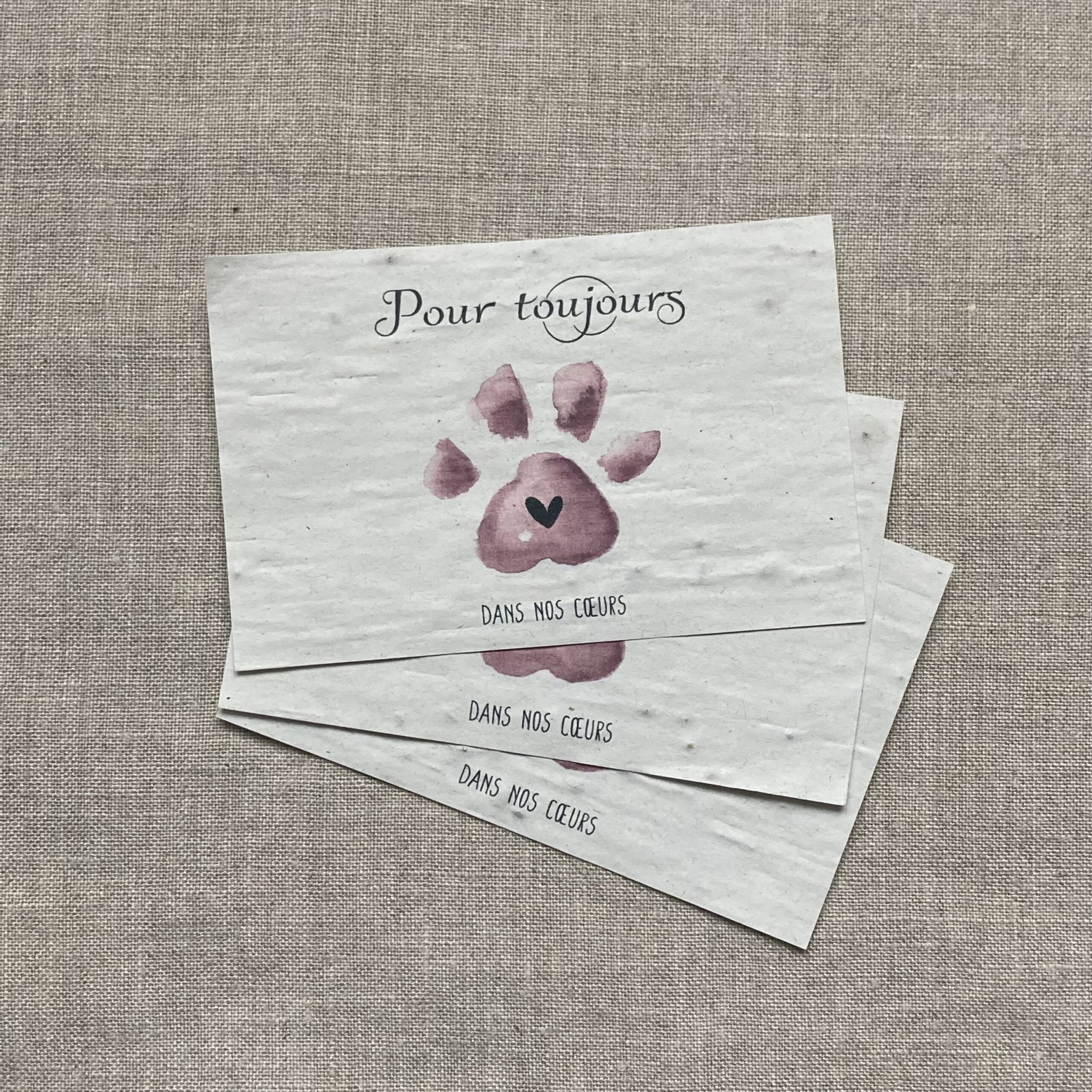 Toujours dans nos cœurs - animal - lot de 10 mini cartes - Fleurs sauvages