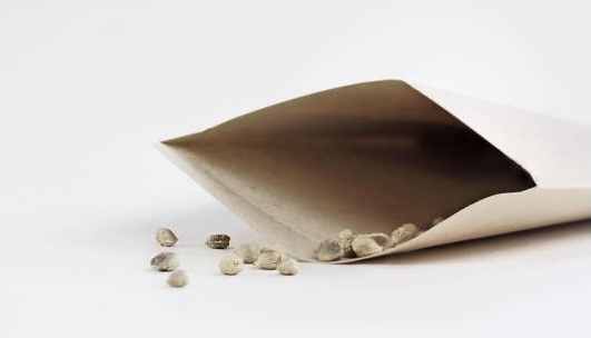 Illunine créations sur-mesure carte à planter création française mini papeterie eco responsable fleurie zéro déchet baptême décoration de table confettis mariage zéro déchet remerciments merci personnalisée illustrée aquarelle Seine et Marne carte de visite papier ensemencé carte ensemencée carte à semer carte qui se transforme en fleurs aquarelle sur mesure carte poétique papier recyclé deuil cadeau d’invité faire part notice île de France illustration sur mesure carte symbolique