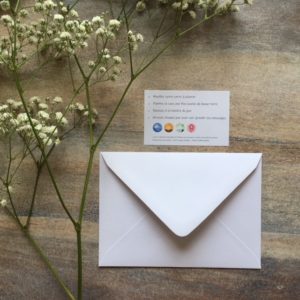 Bee happy – carte à planter A6