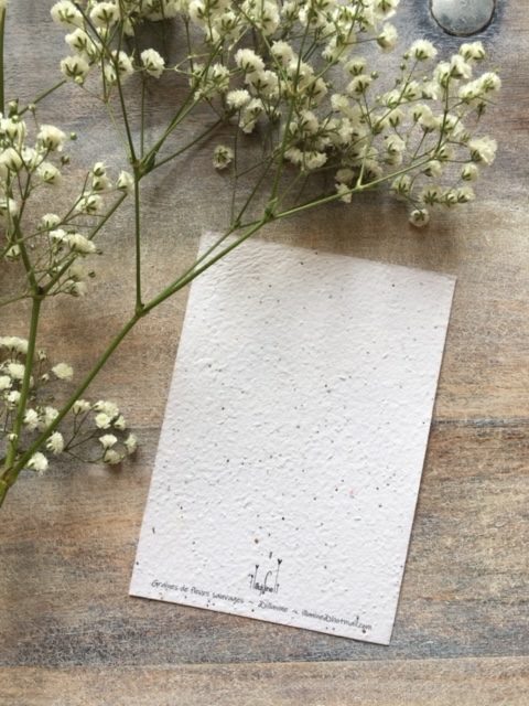 Illunine créations sur-mesure carte à planter création française mini papeterie eco responsable fleurie zéro déchet baptême décoration de table confettis mariage zéro déchet remerciments merci personnalisée illustrée aquarelle Seine et Marne carte de visite papier ensemencé carte ensemencée carte à semer carte qui se transforme en fleurs aquarelle sur mesure carte poétique papier recyclé deuil cadeau d’invité faire part notice île de France illustration sur mesure carte symbolique