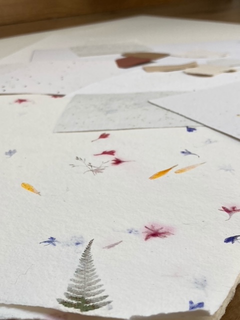 créations sur-mesure carte à planter création française mini papeterie eco responsable fleurie zéro déchet baptême décoration de table confettis mariage zéro déchet remerciments merci personnalisée illustrée aquarelle Seine et Marne carte de visite papier ensemencé carte ensemencée carte à semer carte qui se transforme en fleurs aquarelle sur mesure carte poétique papier recyclé deuil cadeau d’invité faire part notice île de France illustration sur mesure carte symbolique