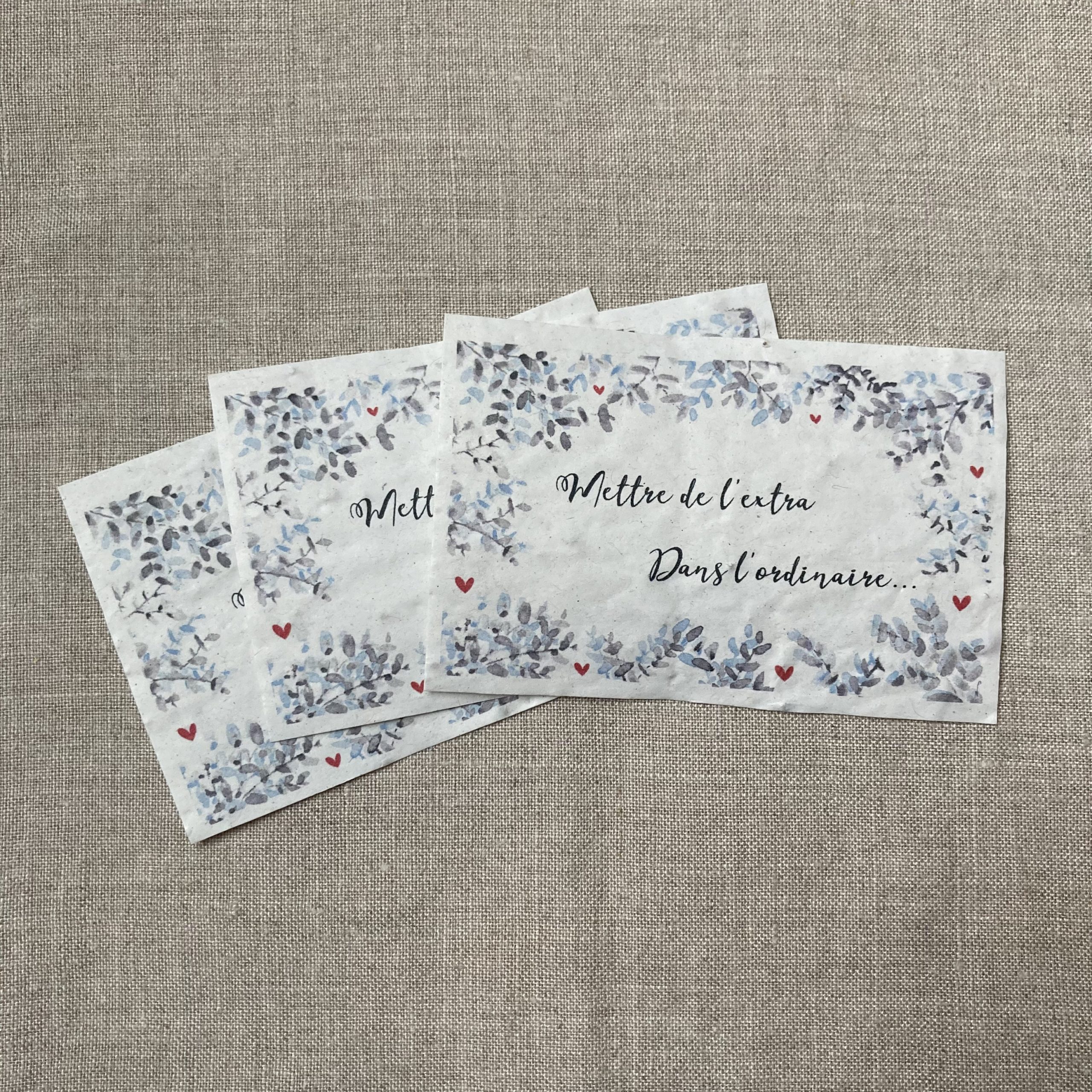 Extra Ordinaire - lot de 10 mini cartes - Fleurs sauvages