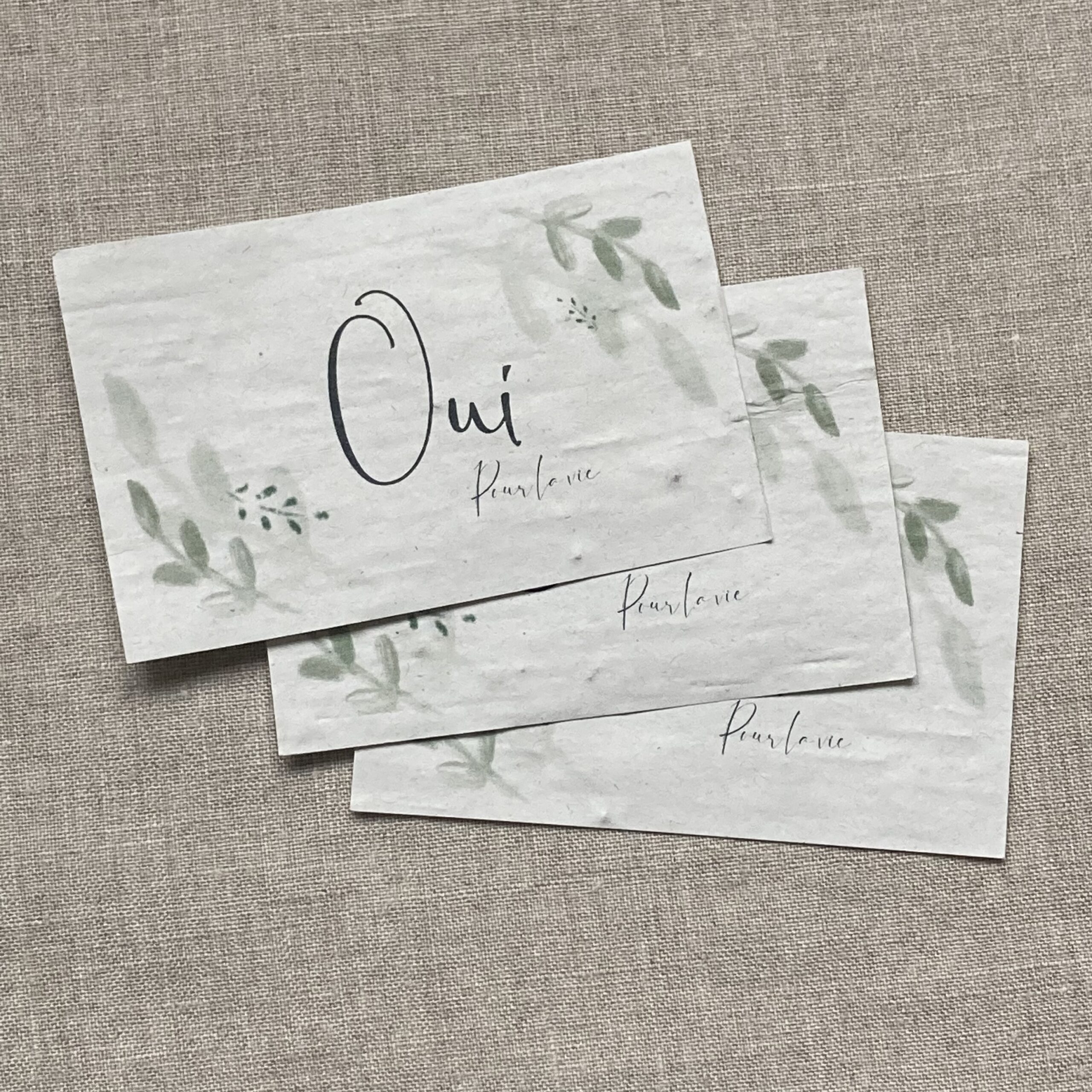 Lot de 10 mini cartes « Oui pour la vie » - fleurs sauvages