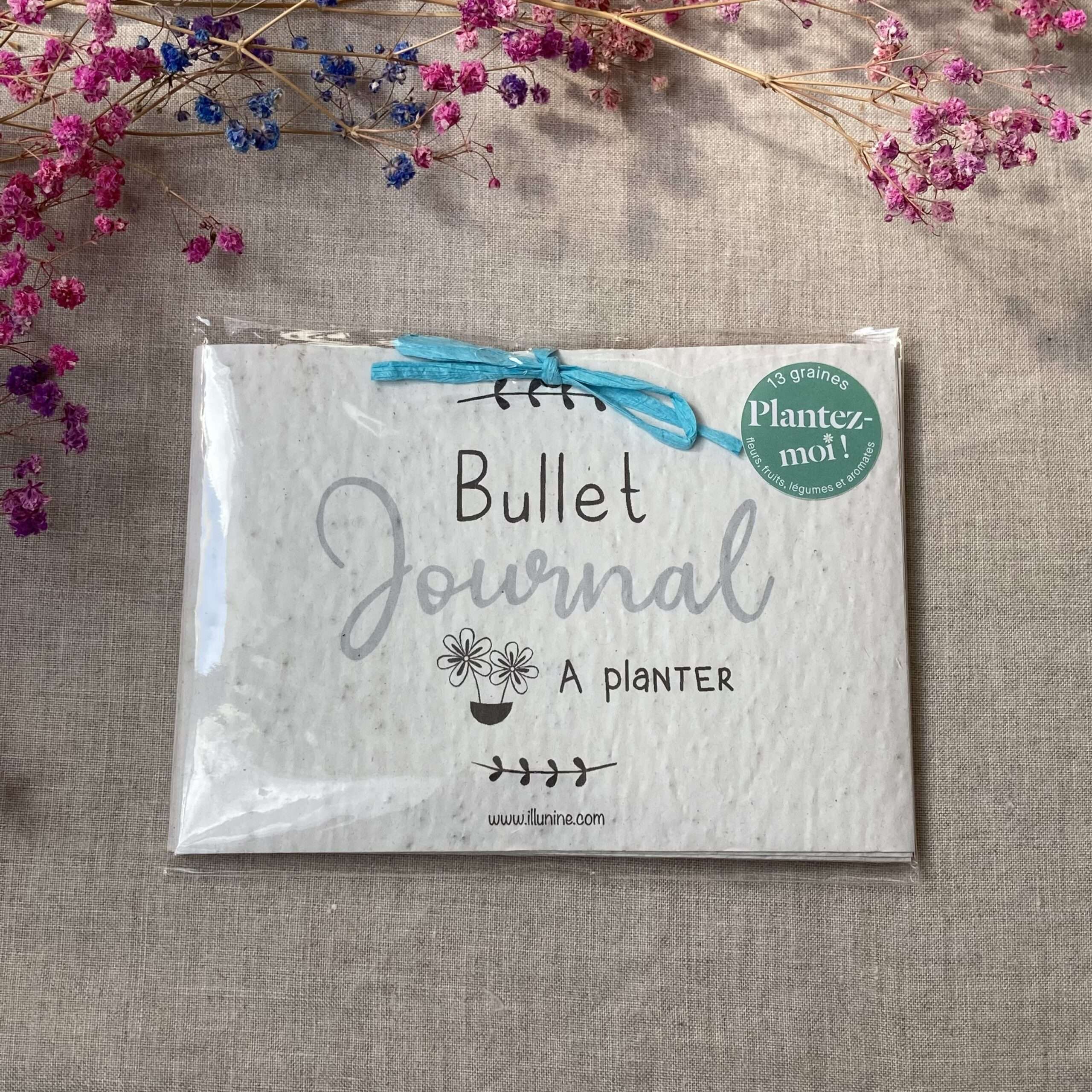 Bullet journal de Septembre à Aout - 13 graines différentes à planter – Image 2
