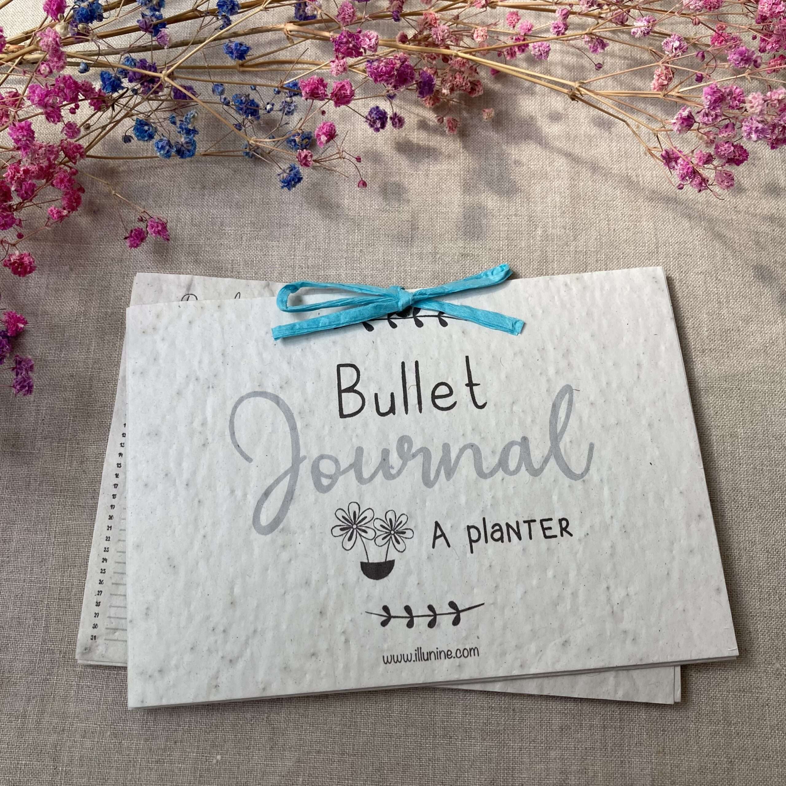 Bullet journal de Septembre à Aout - 13 graines différentes à planter