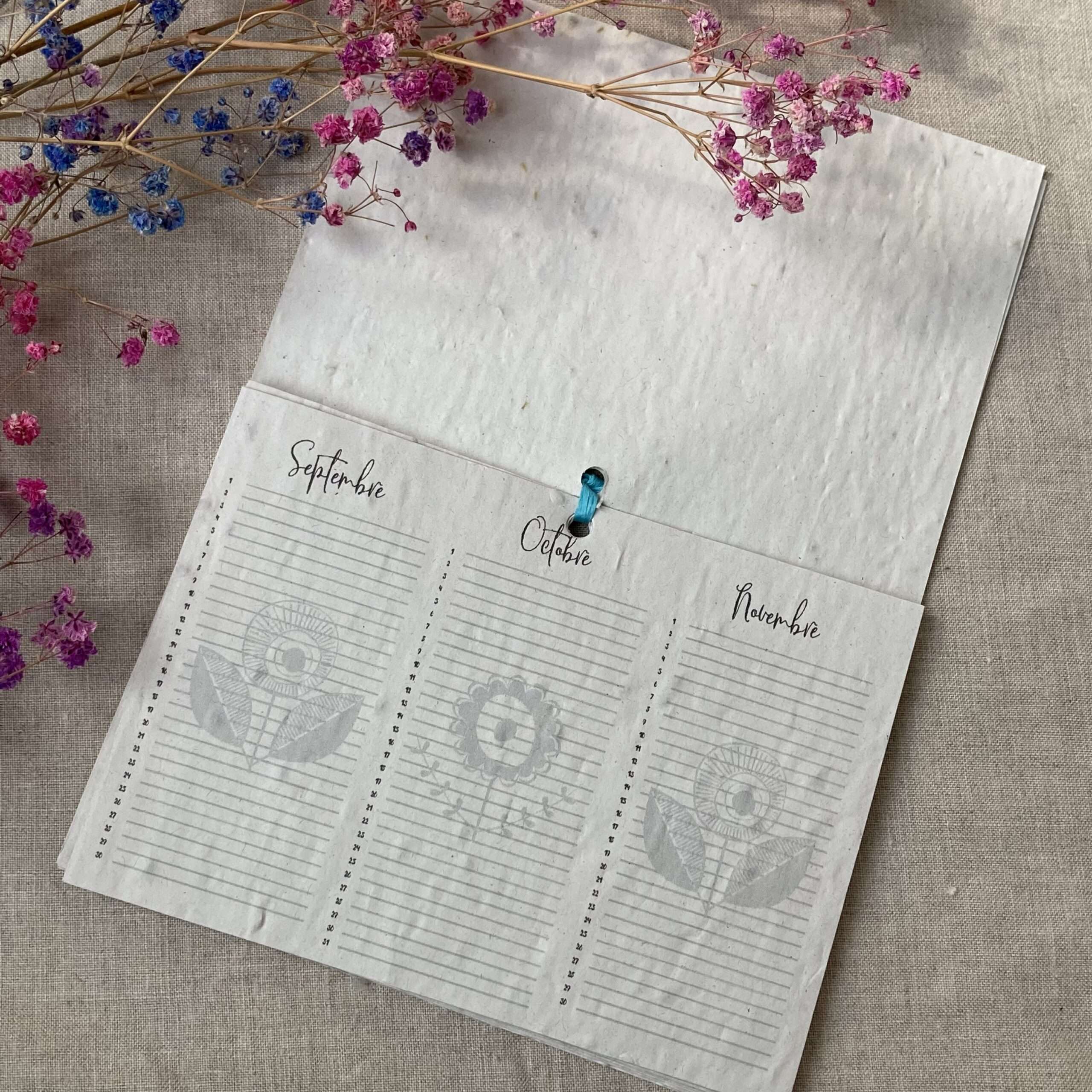 Bullet journal de Septembre à Aout - 13 graines différentes à planter – Image 7