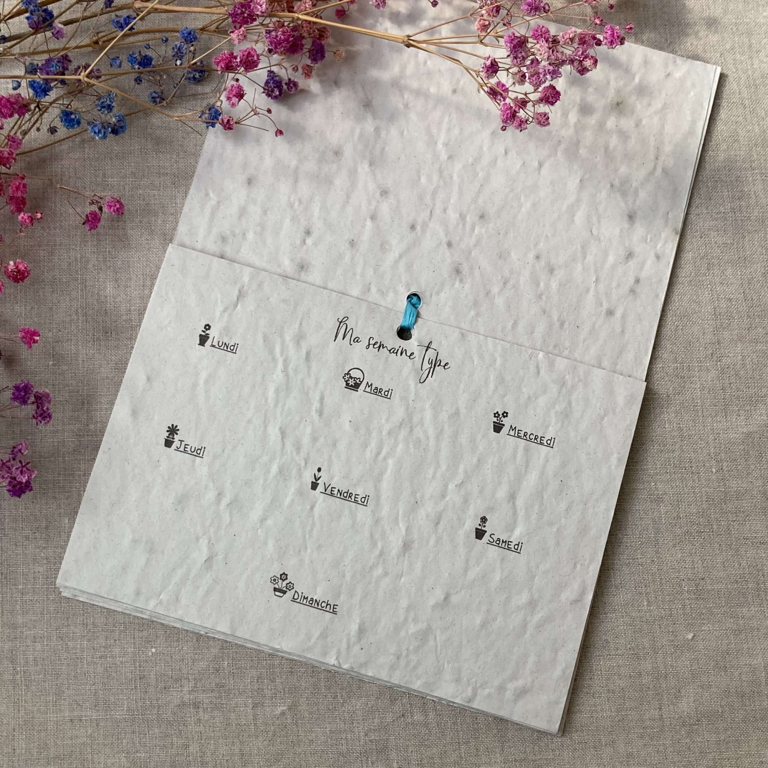 Bullet journal de Septembre à Aout - 13 graines différentes à planter – Image 4
