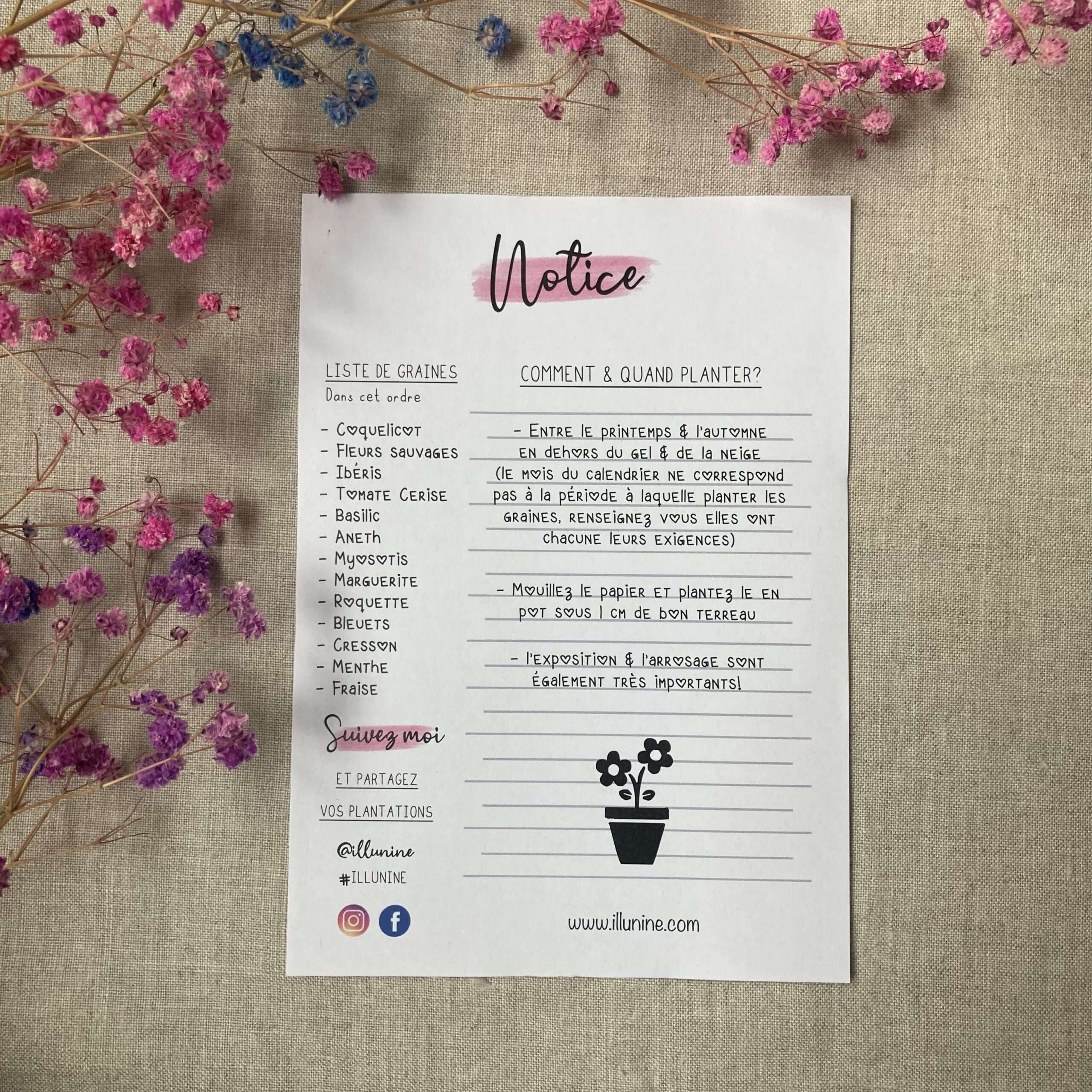 Bullet journal de Septembre à Aout - 13 graines différentes à planter – Image 8